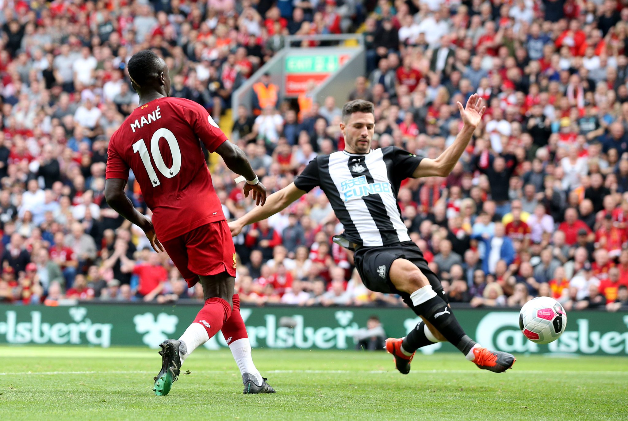 当马德鲁加 当马德鲁加